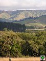 thn_NZ leden-unor 2006 091.jpg